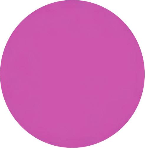 Un cercle rose simple et uni sur un fond blanc.