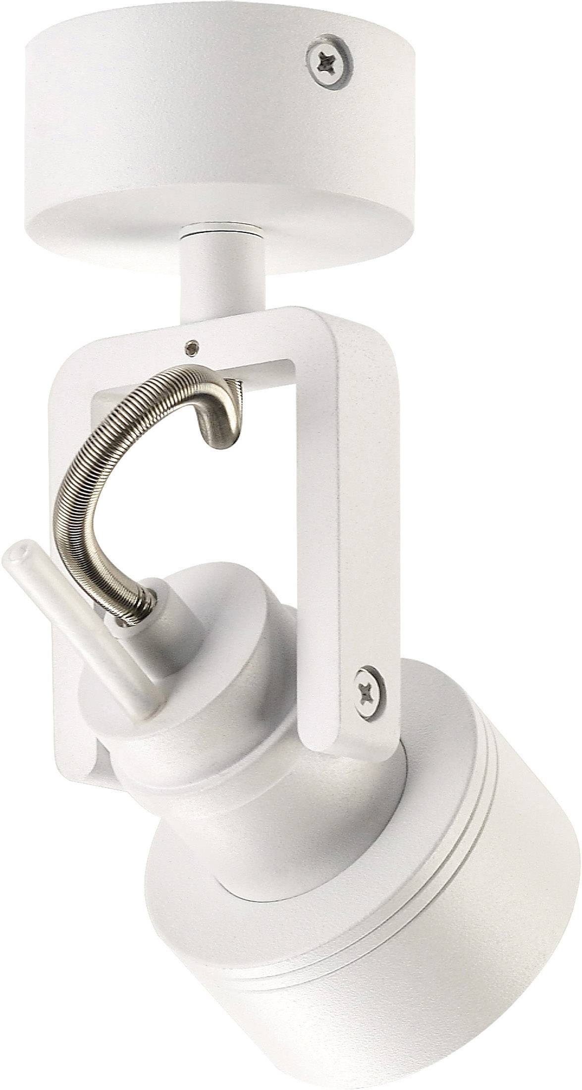 Un luminaire plafonnier cylindrique ajustable en métal argenté, adapté pour un éclairage ciblé des espaces ou des objets.