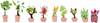 Plantes décoratives NOCH 14082 modèle fini N 9 pc(s)
