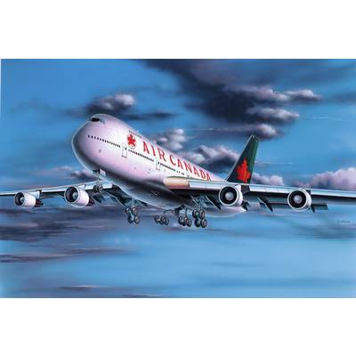 Avion d'Air Canada en vol, avec l'autocollant typique de la feuille d'érable rouge à l'arrière, ciel nuageux en arrière-plan.