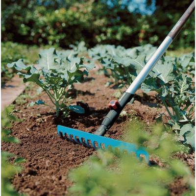 Une fourche bleue travaille le sol d'un jardin potager avec de jeunes plants sous un ciel bleu.