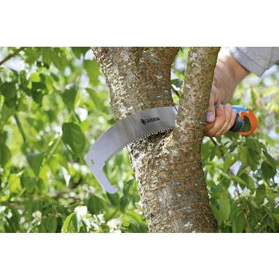 Une main coupe une branche d'un arbre au feuillage vert à l'aide d'une scie courbe.