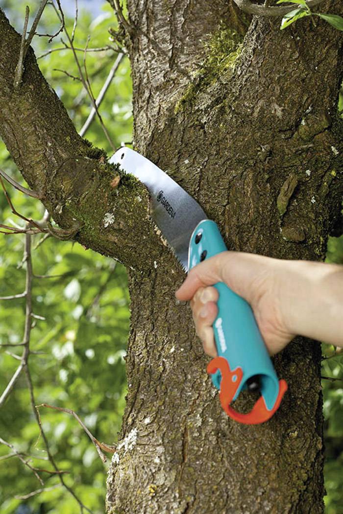 Une main tient une scie à main et coupe une branche d'un tronc d'arbre. L'environnement est verdoyant avec des feuilles en arrière-plan.