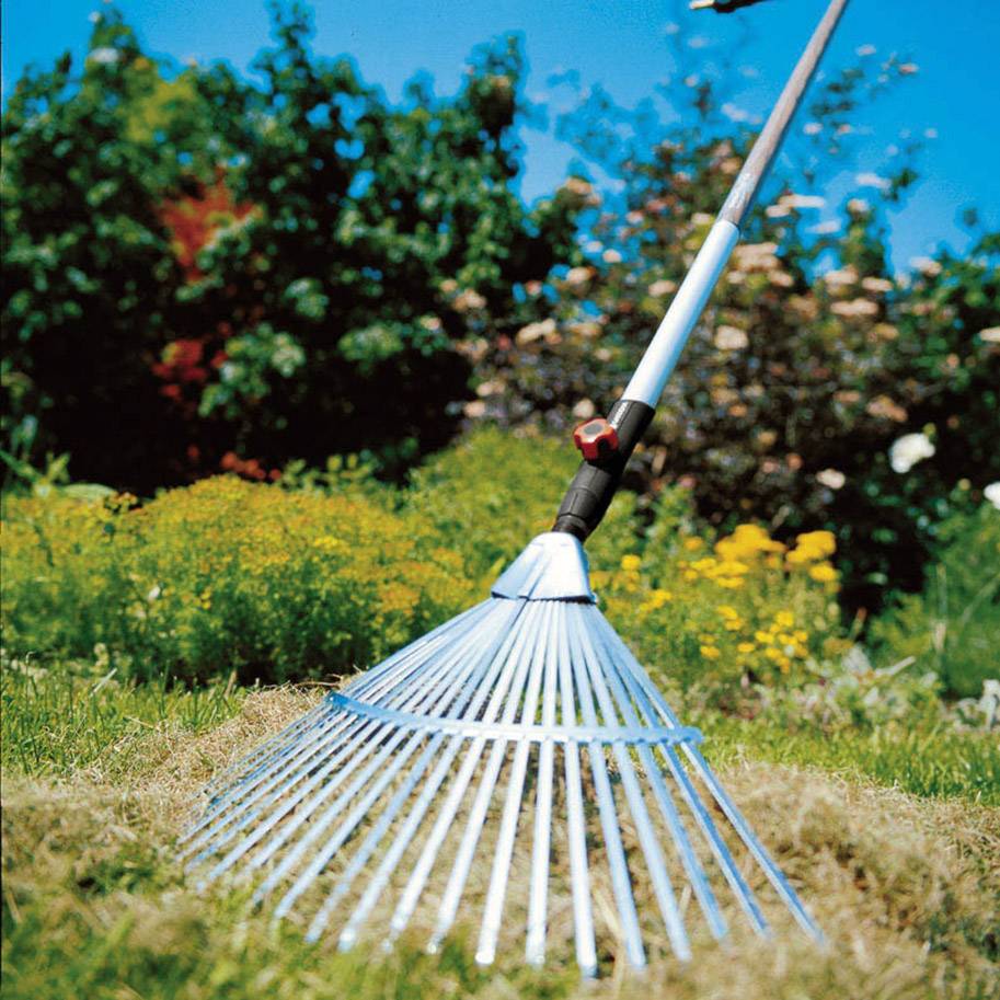 Une râteau est posée sur une pelouse devant des arbustes en fleurs, baignée de lumière claire et ensoleillée.