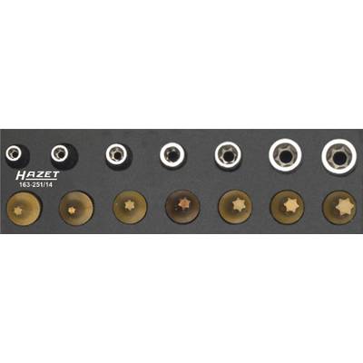 Jeu d'embouts Torx de différentes tailles de 'Hazet', présenté en rang ordonné sur un support noir.