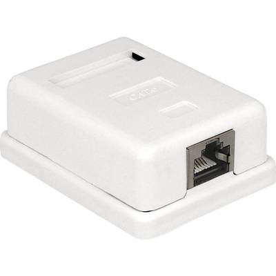 'Prise réseau blanche avec un connecteur RJ45, adaptée à une installation murale dans des environnements de bureau ou résidentiels.'