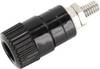 Borne de polarité Ø stylo (détails): 4 mm econ connect AK5SW noir 6 A 1 pc(s)