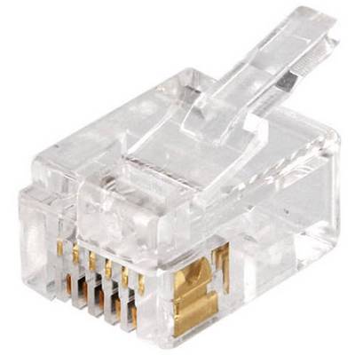 Une fiche RJ45 transparente utilisée dans les câbles de connexion réseau, avec huit contacts argentés visibles.