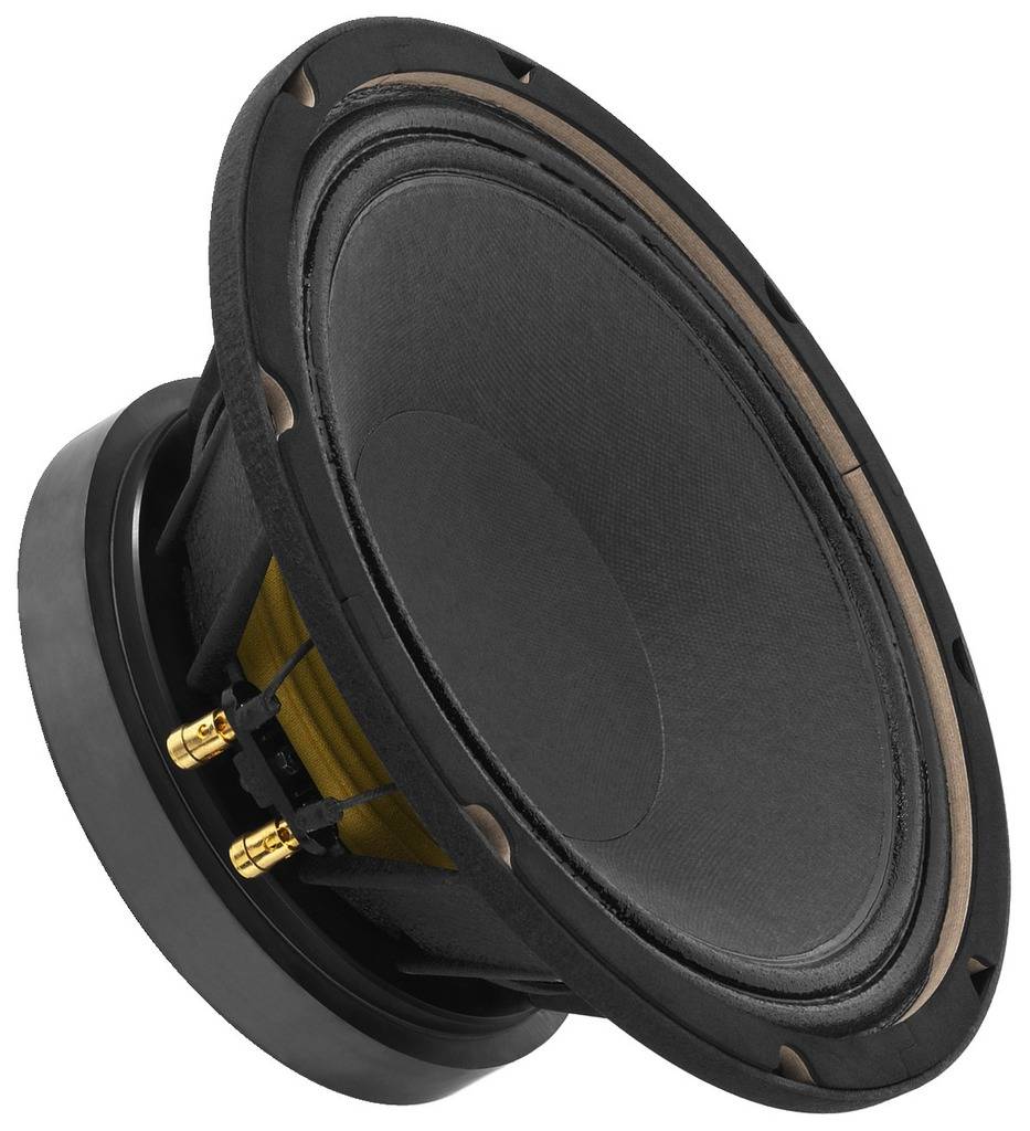 Un haut-parleur rond avec une membrane noire et des connexions dorées, sur un fond gris.