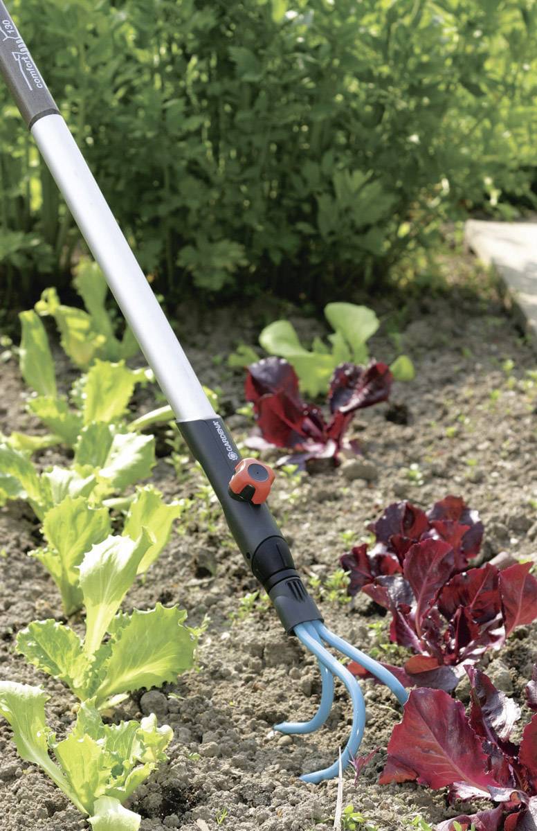Un outil de jardinage travaille la terre entre une laitue verte et une laitue rouge dans un carré de jardin, entouré de verdure luxuriante.