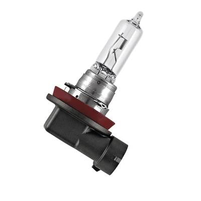 Lampe halogène individuelle en gros plan, de forme cylindrique avec un boîtier transparent et un joint d'étanchéité rouge, sur un fond blanc.