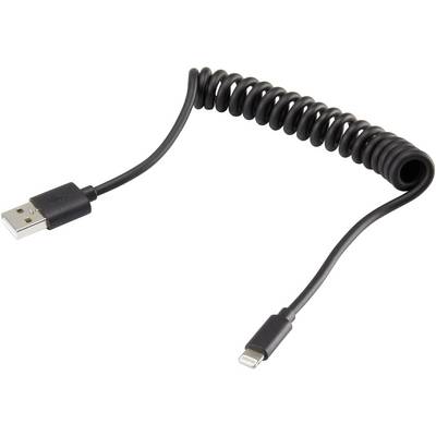 Un câble USB noir et spiralé avec un connecteur USB d'un côté et un connecteur Lightning de l'autre.
