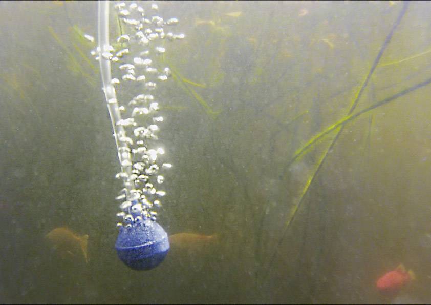 Esotec Floating Air 101875 Aérateur de bassin-3