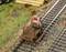Deux personnages sur une draisine à main sur un rail de train miniature. Environnement avec herbe et fleurs.