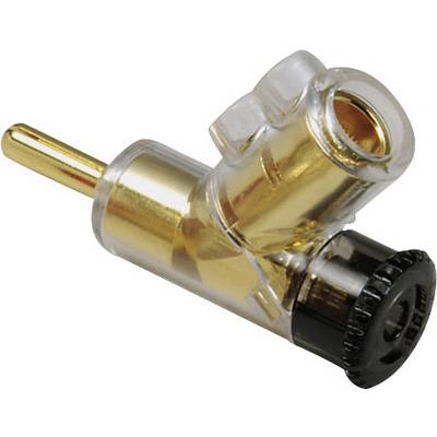 Une fiche en plastique transparent avec un raccord de couleur or et un verrou de rotation noir, utilisée pour les connexions électriques.