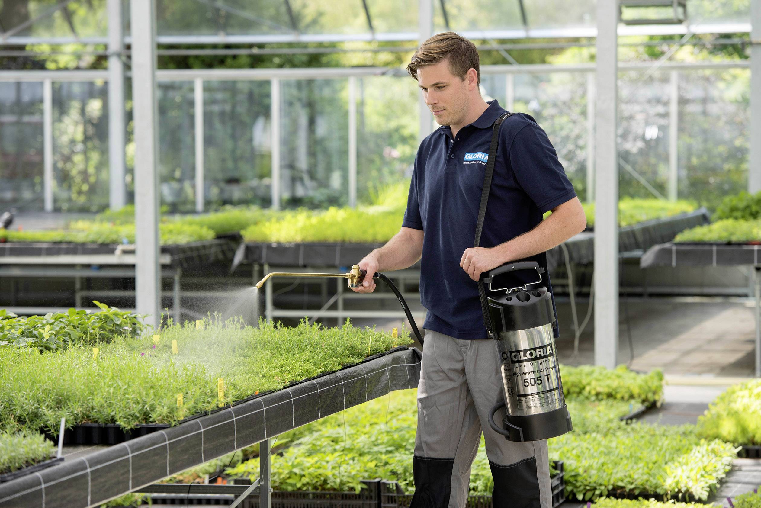 Un homme pulvérise des plantes dans une serre à l'aide d'un vaporisateur. À l'arrière-plan, d'autres plantes disposées en rangées sont visibles.