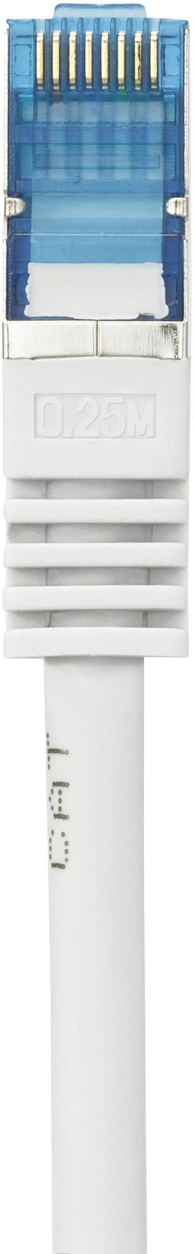 Un câble réseau blanc avec une prise RJ45 bleue et transparente, révélant des contacts dorés.