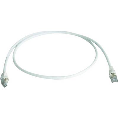 Un câble Ethernet blanc avec des connecteurs RJ-45 aux deux extrémités, adapté aux connexions réseau.