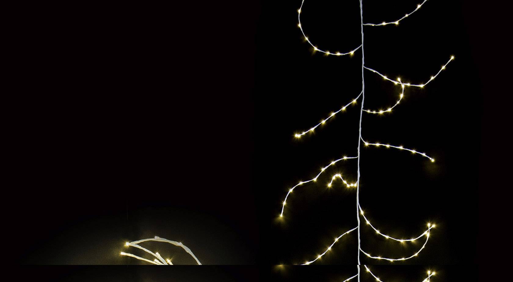 Une fine branche lumineuse parsemée de petites lumières jaunes sur un fond noir.