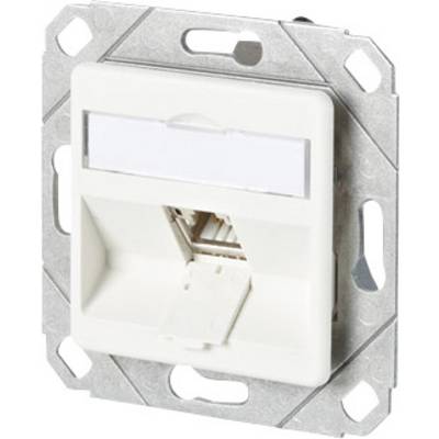 Un connecteur de câble réseau blanc dans un support métallique, adapté pour une installation murale. Équipé d'une fiche RJ45.