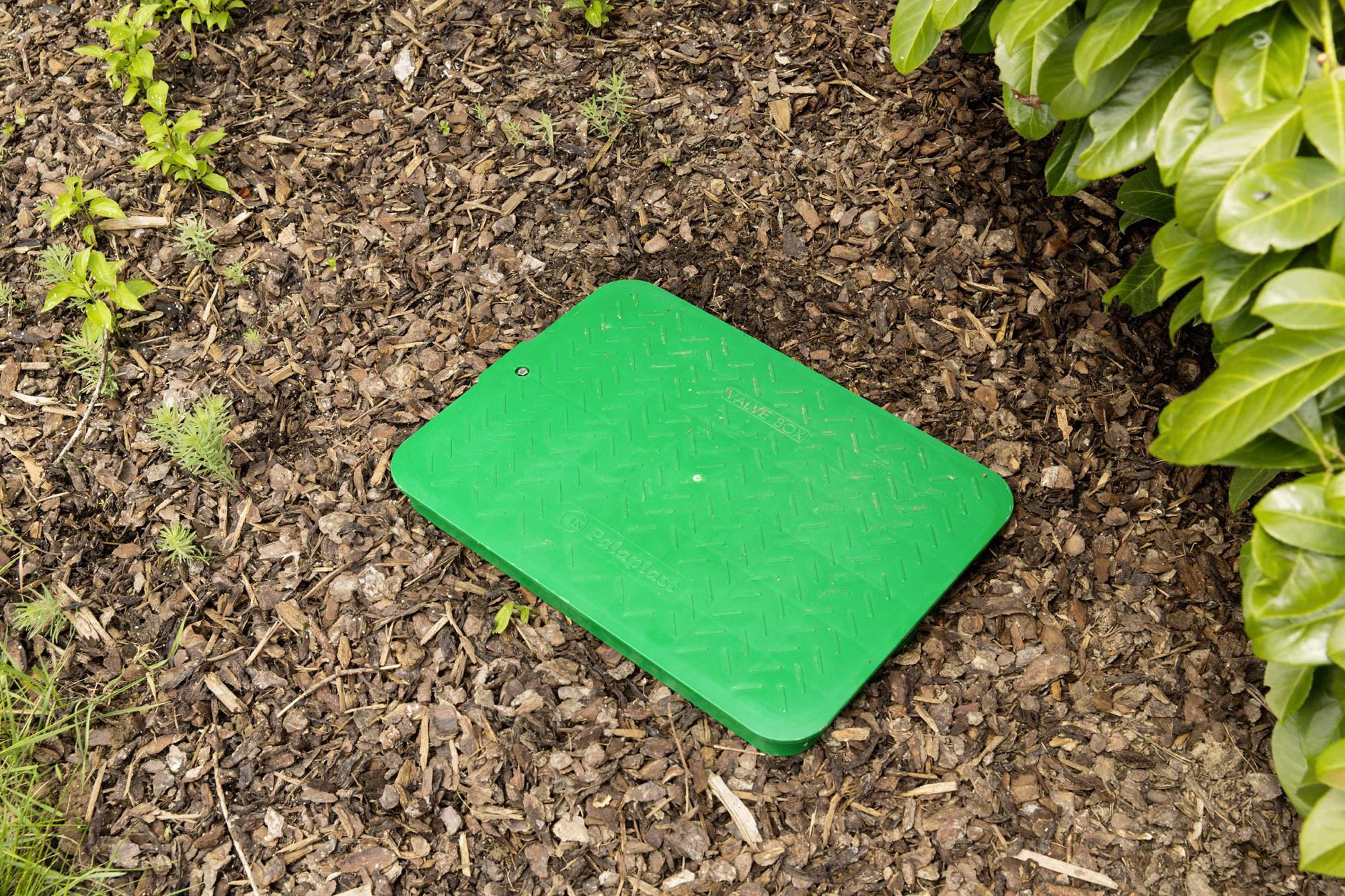 Couverture en plastique vert sur le sol, entourée de plantes. Probablement un élément d'un système d'irrigation de jardin servant à protéger les vannes de commande.