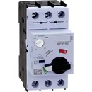 Disjoncteur de protection moteur réglable WEG MPW40-3-U025 12428133 25 A 1 pc(s)