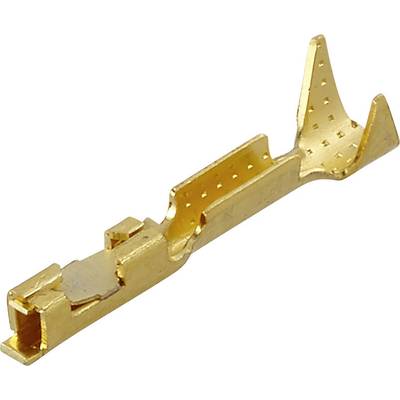 Fiche plate en laiton, non isolée, de couleur dorée, adaptée aux connexions électriques dans les appareils électroniques.