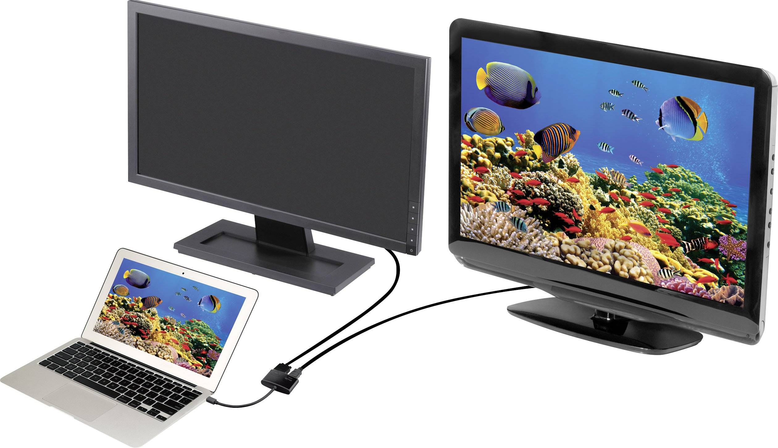 Un ordinateur portable est connecté à deux écrans. L'écran de droite affiche une image sous-marine colorée avec des poissons et des coraux.