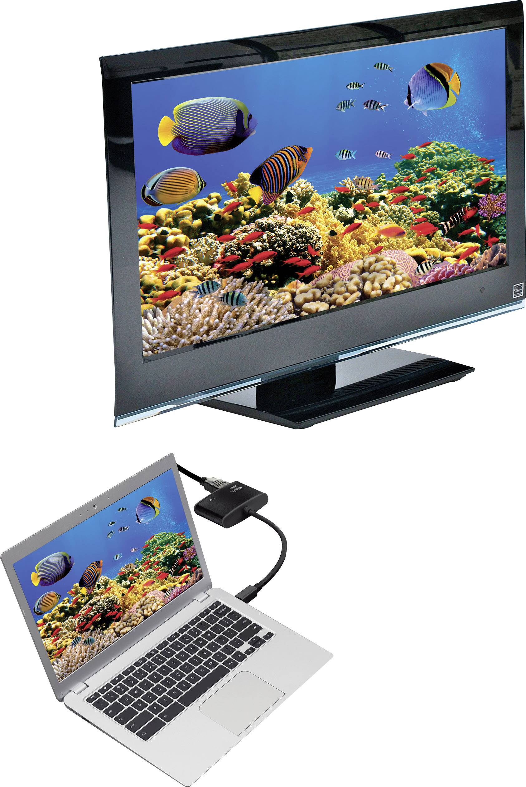 Un ordinateur portable est connecté à un moniteur. Les deux affichent une image sous-marine colorée avec des poissons et des coraux.
