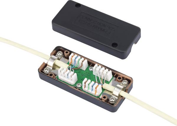 Renkforce Adapté pour (spécifications réseau (CAT)): CAT 6a
