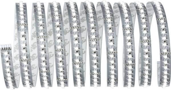 Paulmann MaxLED 1000 70589 Ruban LED (Base) avec connecteur mâle 24 V 3 m blanc lumière du jour 1 pc(s)