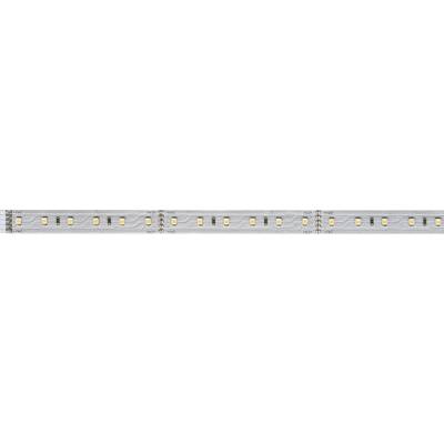 Paulmann MaxLED 500 70581 Ruban LED (Extension)  avec connecteur mâle 24 V 1 m blanc chaud  1 pc(s)