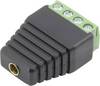 Conrad Components 93013c1126 Fiche femelle de laboratoire femelle, droit Ø de la broche: 4 mm noir 1 pc(s)