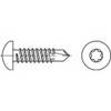 TOOLCRAFT 141616 Vis autoforeuse 4.2 mm 19 mm profil Torx DIN 7504 acier étamé par galvanisation 1000 pc(s)