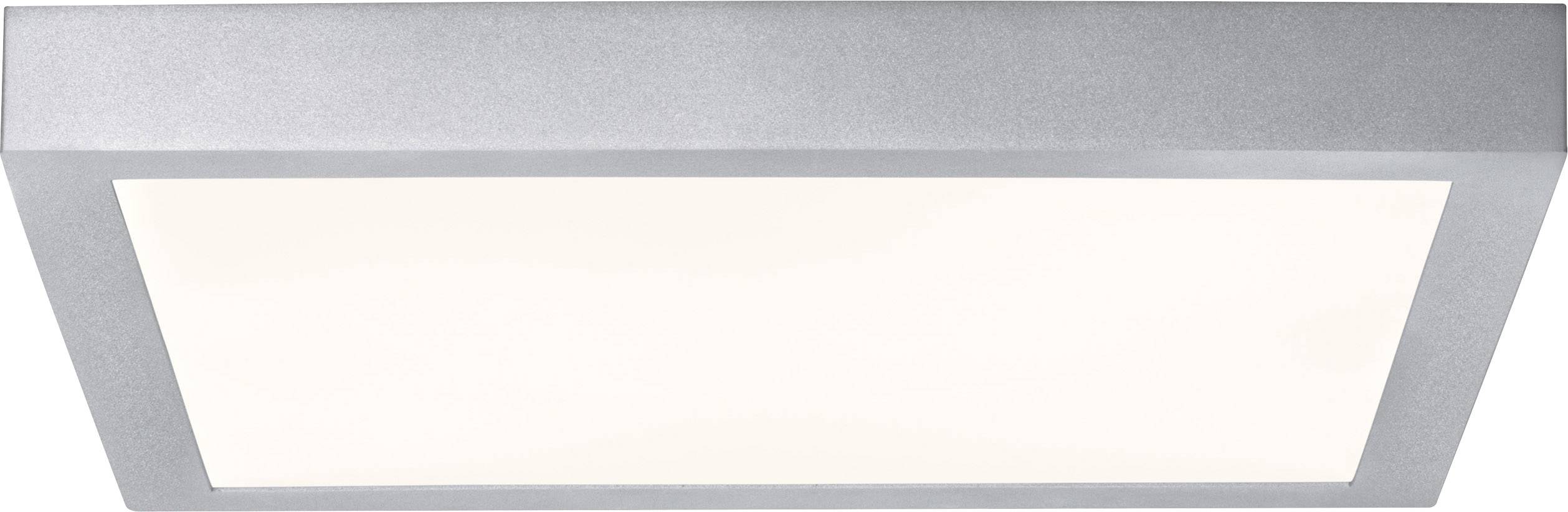 Plafonnier rectangulaire en argent avec un panneau lumineux blanc, adapté aux espaces intérieurs contemporains.