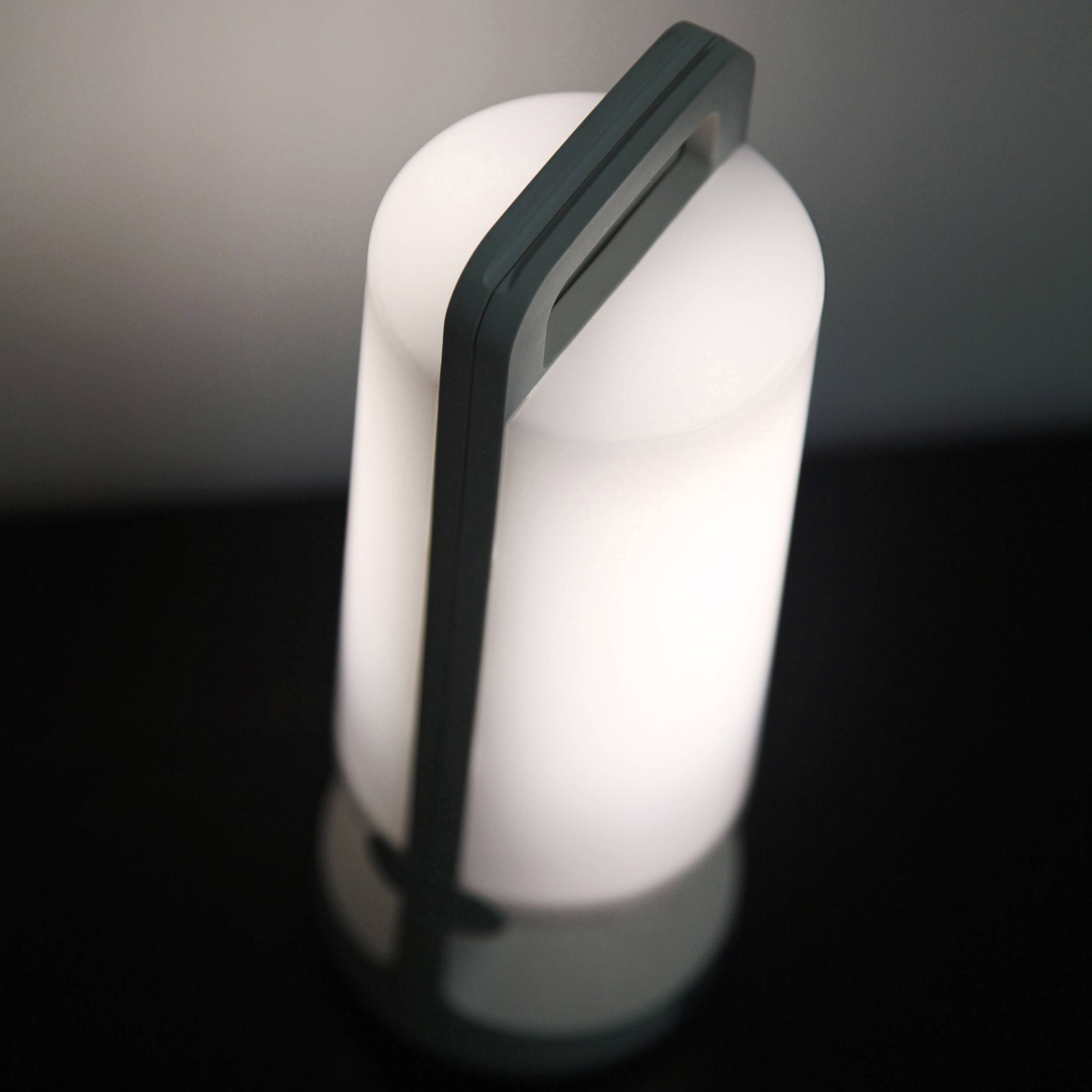 Lampe de table solaire Lutec Ampoule LED Dragonfly 1.2 W blanc Conrad.fr