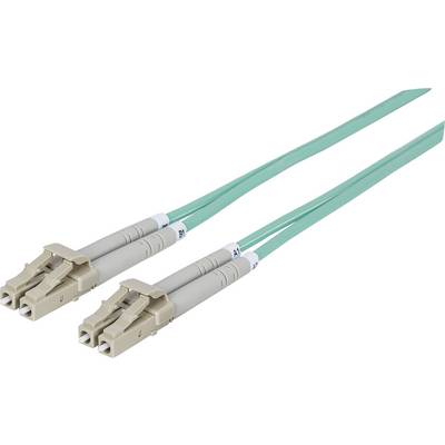 Deux câbles à fibre optique LC-LC avec des gaines bleues relient des appareils pour une transmission de données à haute vitesse.