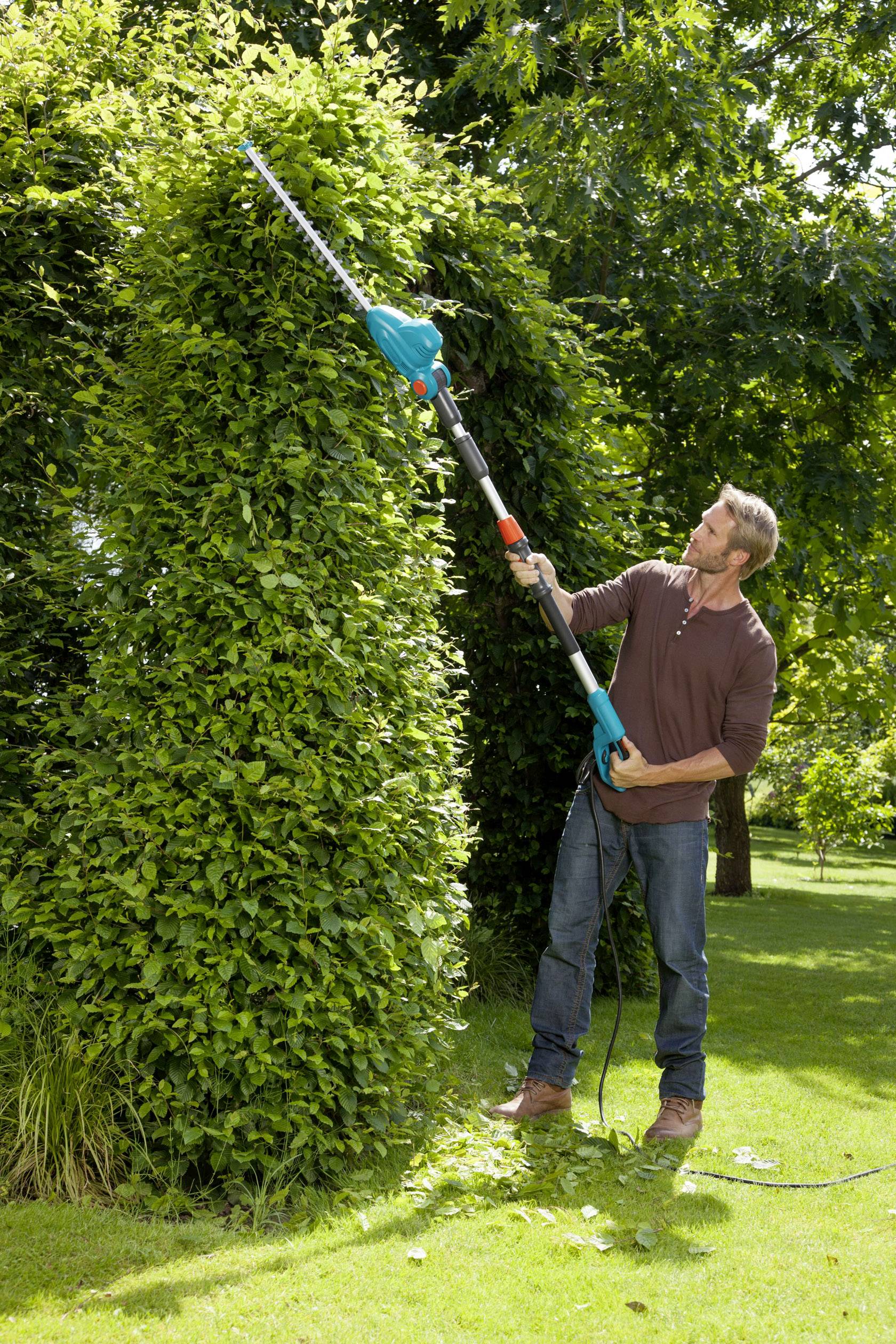 Un homme portant un pull marron taille une haie haute dans le jardin avec un taille-haie électrique. Temps ensoleillé, pelouse verte.