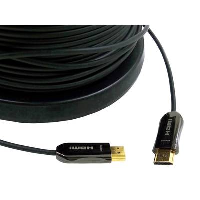Câble de raccordement Inakustik HDMI Fiche mâle HDMI-A, Fiche mâle HDMI-A 20.00 m noir 009241020  Câble HDMI