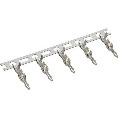Une série de cosses métalliques fixées à intervalles réguliers sur un support de connexion, destinées à l'établissement de connexions électriques.