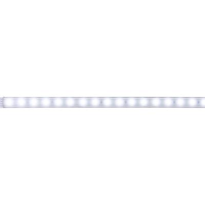   Paulmann  MaxLED  70664  Ruban LED (Extension)    avec connecteur mâle  24 V  1 m  blanc lumière du jour    1 pc(s)