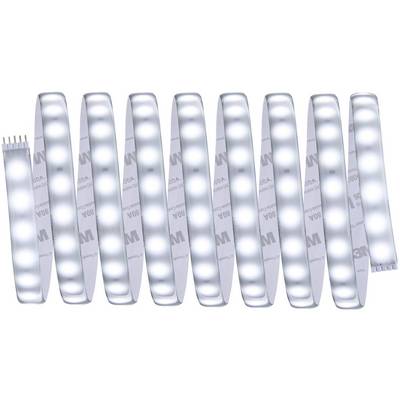 Paulmann MaxLED 500 70665 Ruban LED (Base) avec connecteur mâle 24 V 3 m blanc lumière du jour 1 pc(s)-1