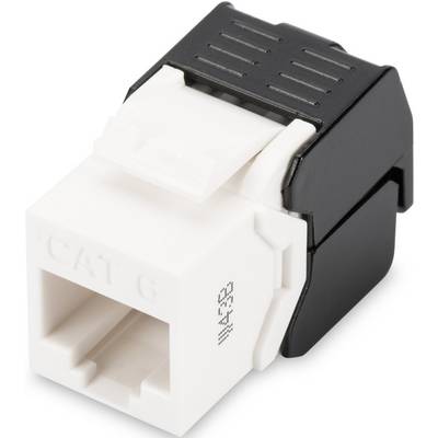 Un jack Keystone Ethernet Cat6 blanc et noir pour connecter le câblage réseau dans les armoires de distribution ou les prises murales.
