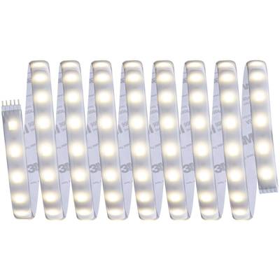 Paulmann MaxLED Tunable White 70624 Ruban LED (Base) avec connecteur mâle 24 V 3 m blanc chaud, blanc neutre, blanc lumi-4