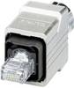 Connecteur RJ45 - CAT5 Phoenix Contact VS-PPC-C1-RJ45-MNNA-PG9-8Q5 1608016 Pôle: 8P8C Contenu: 1 pc(s)