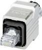 Connecteur RJ45 - CAT5 Phoenix Contact VS-PPC-C1-RJ45-MNNA-PG9-4Q5 1608100 Pôle: 8P4C Contenu: 1 pc(s)