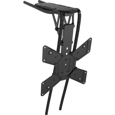 Un porte-vélos arrière noir avec une plaque d'adaptation pour le montage sur un cadre de vélo. Adapté pour le transport de bagages.