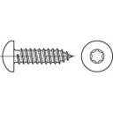 TOOLCRAFT 145184 Vis à tôle à tête bombée 5.5 mm 25 mm profil Torx DIN 7981 acier étamé par galvanisation 250 pc(s)