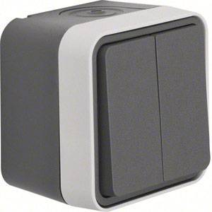 Un interrupteur double gris aux bords légèrement arrondis, entouré d'un cadre blanc. Idéal pour les espaces intérieurs.