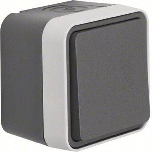 Interrupteur compact de couleur grise, de forme rectangulaire avec un cadre blanc et un design aux angles arrondis.